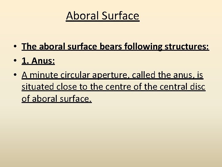 Aboral Surface • The aboral surface bears following structures: • 1. Anus: • A