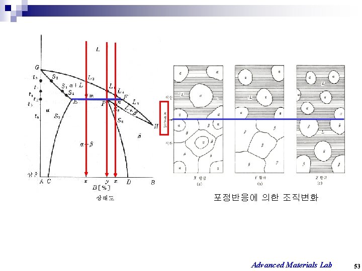 포정반응에 의한 조직변화 Advanced Materials Lab 53 