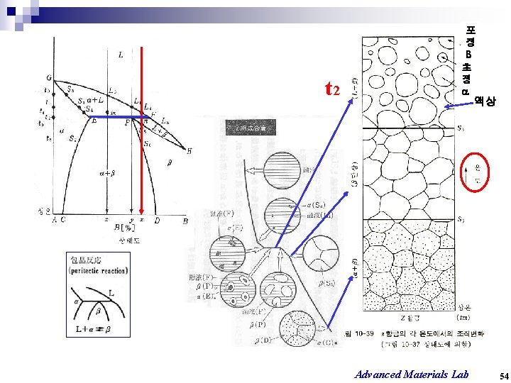 t 2 포 정 b 초 정 a 액상 Advanced Materials Lab 54 