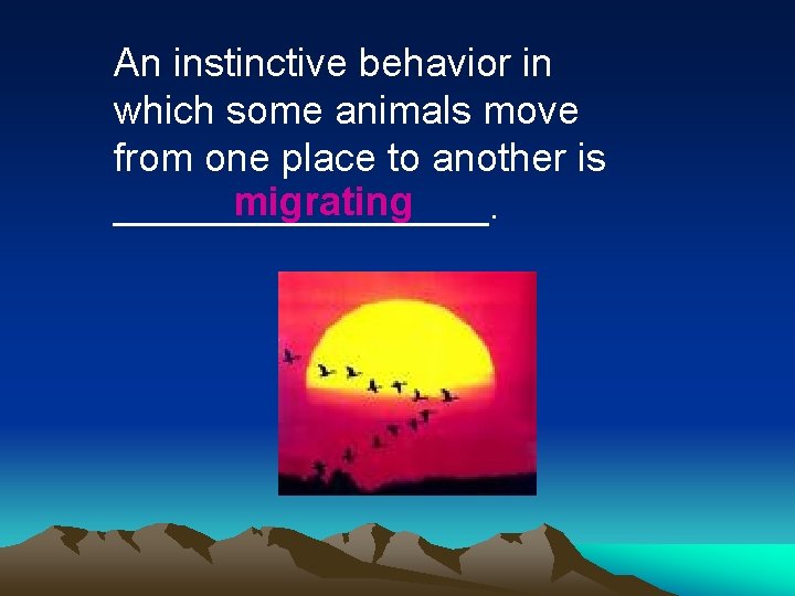 An instinctive behavior in which some animals move from one place to another is