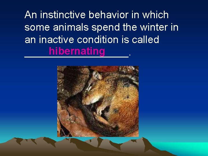An instinctive behavior in which some animals spend the winter in an inactive condition