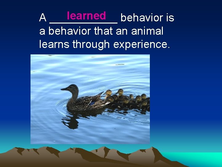 learned behavior is A ______ a behavior that an animal learns through experience. 