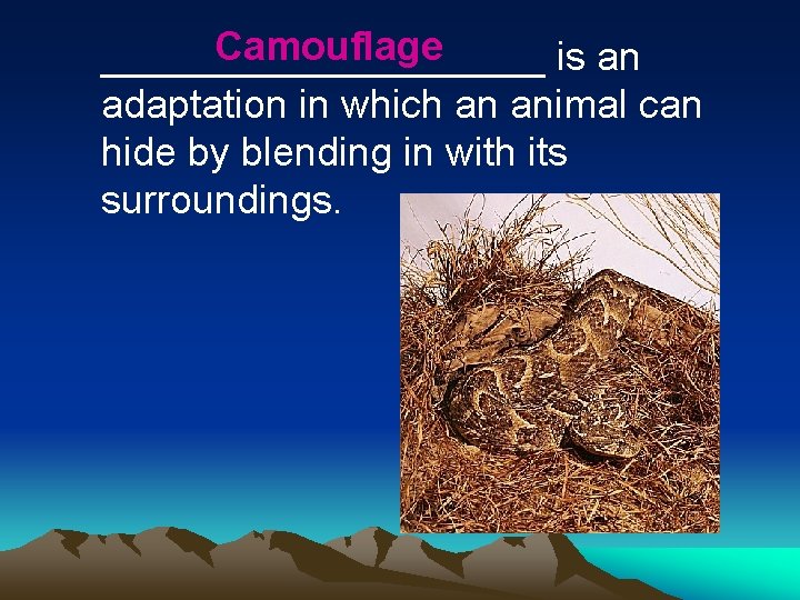 Camouflage __________ is an adaptation in which an animal can hide by blending in