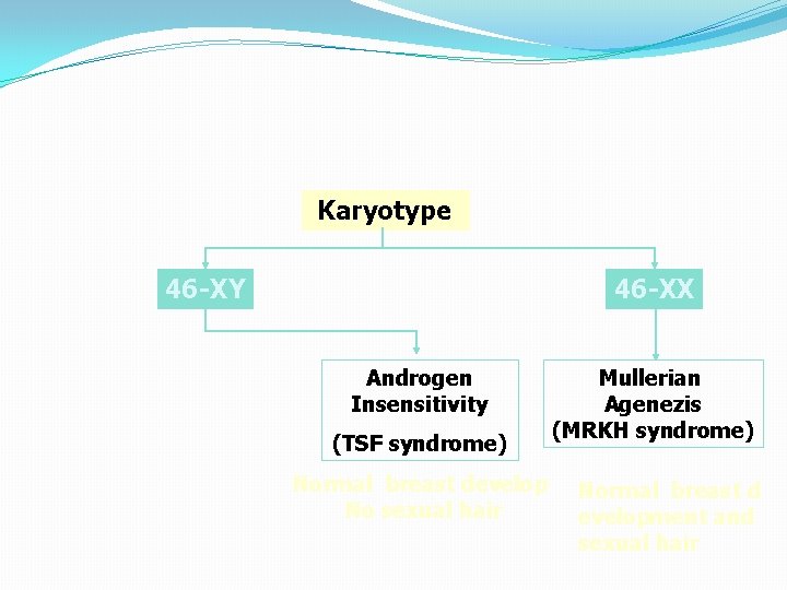 Karyotype 46 -XY 46 -XX Androgen Insensitivity (TSF syndrome) Normal breast develop No sexual