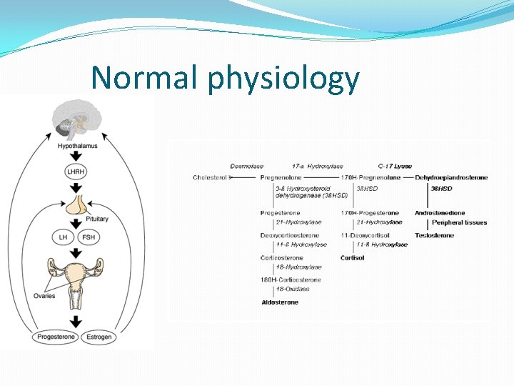 Normal physiology 