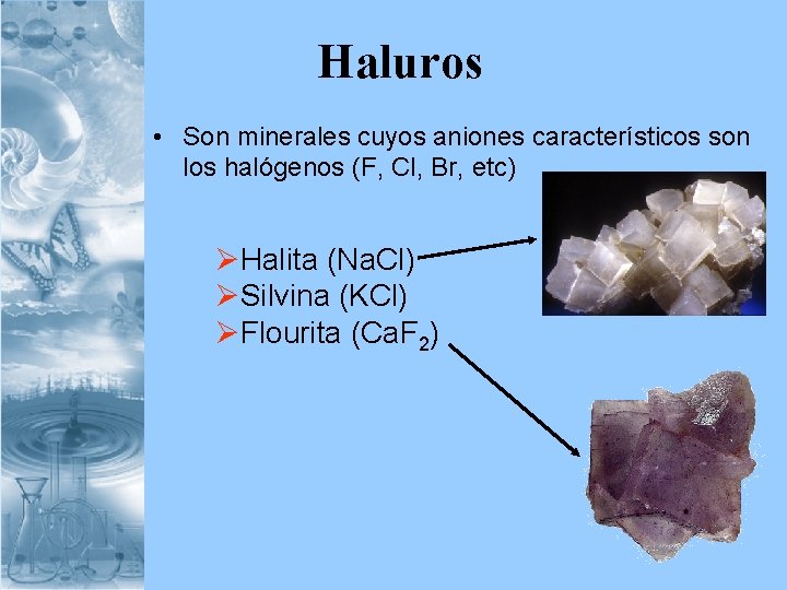  Haluros • Son minerales cuyos aniones característicos son los halógenos (F, Cl, Br,