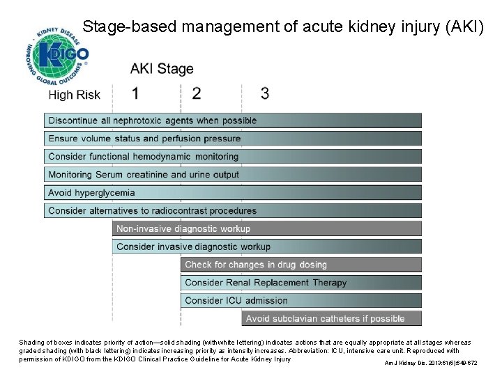 Stage-based management of acute kidney injury (AKI) Shading of boxes indicates priority of action—solid