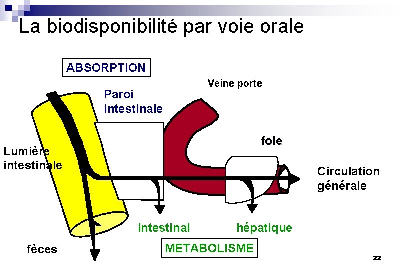 La biodisponibilité par voie orale ABSORPTION Veine porte Paroi intestinale foie Lumière intestinale Circulation