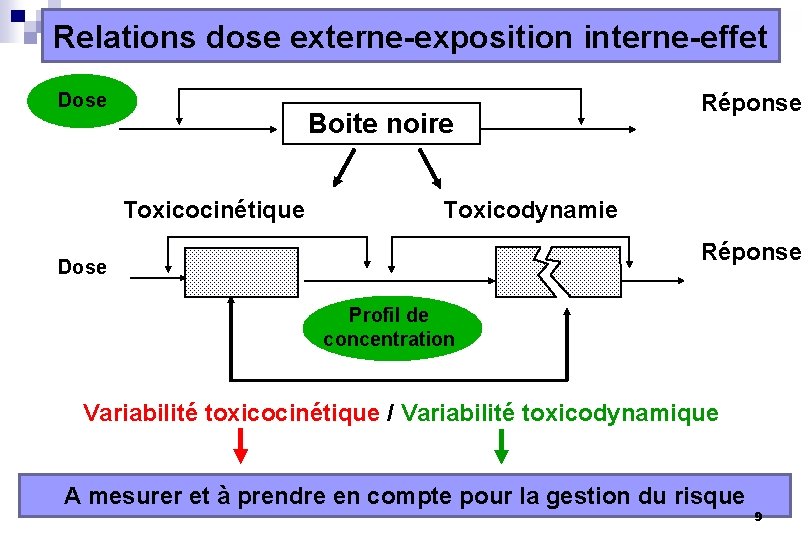 Relations dose externe-exposition interne-effet Dose Boite noire Toxicocinétique Réponse Toxicodynamie Réponse Dose Profil de