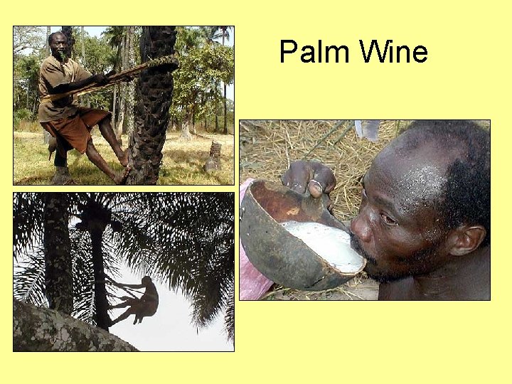 Palm Wine 