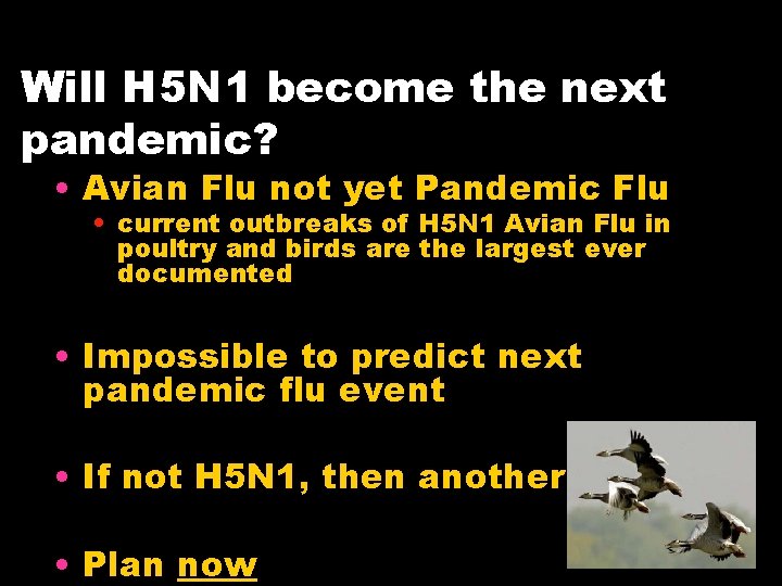 Will H 5 N 1 become the next pandemic? • Avian Flu not yet