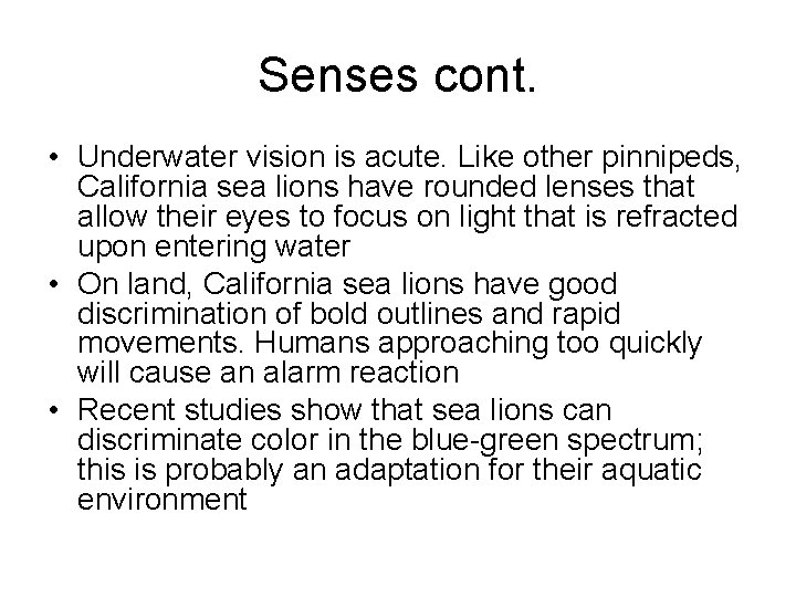 Senses cont. • Underwater vision is acute. Like other pinnipeds, California sea lions have