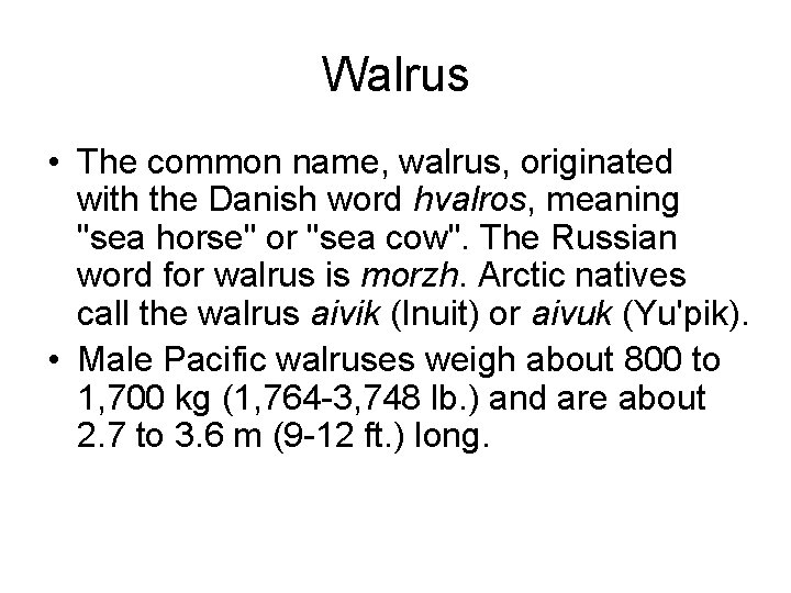 Walrus • The common name, walrus, originated with the Danish word hvalros, meaning "sea