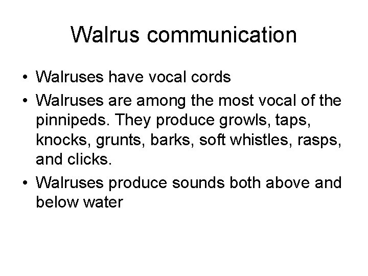 Walrus communication • Walruses have vocal cords • Walruses are among the most vocal