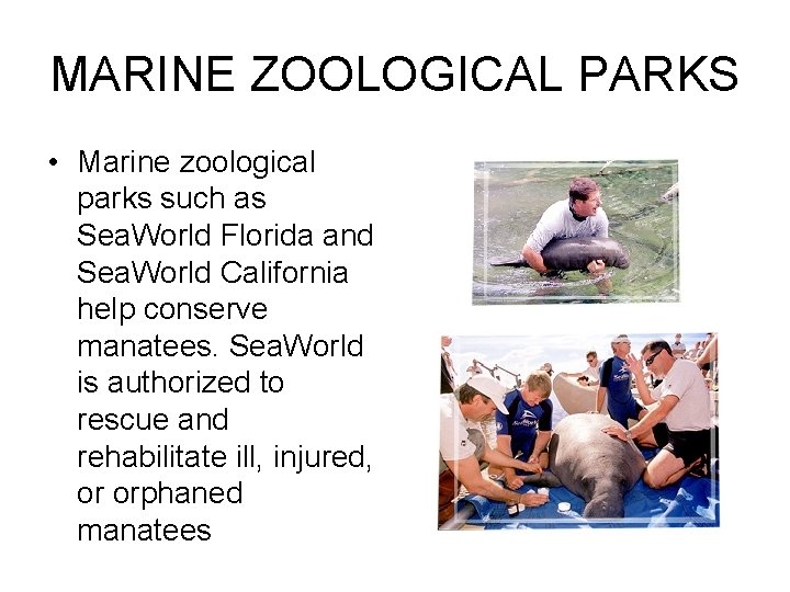 MARINE ZOOLOGICAL PARKS • Marine zoological parks such as Sea. World Florida and Sea.