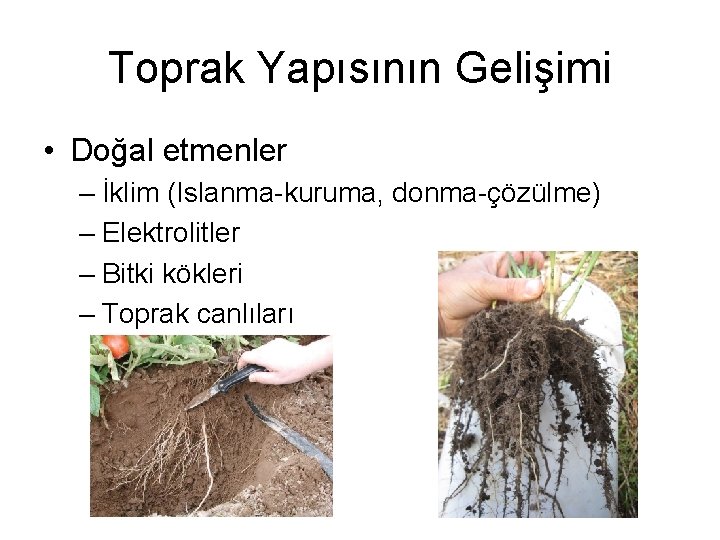 Toprak Yapısının Gelişimi • Doğal etmenler – İklim (Islanma-kuruma, donma-çözülme) – Elektrolitler – Bitki