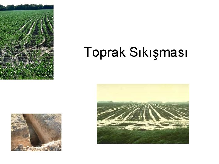 Toprak Sıkışması 