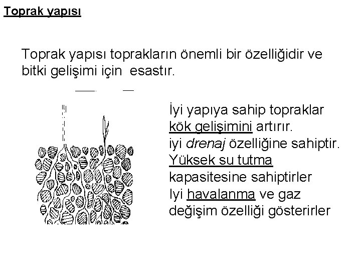 Toprak yapısı toprakların önemli bir özelliğidir ve bitki gelişimi için esastır. İyi yapıya sahip