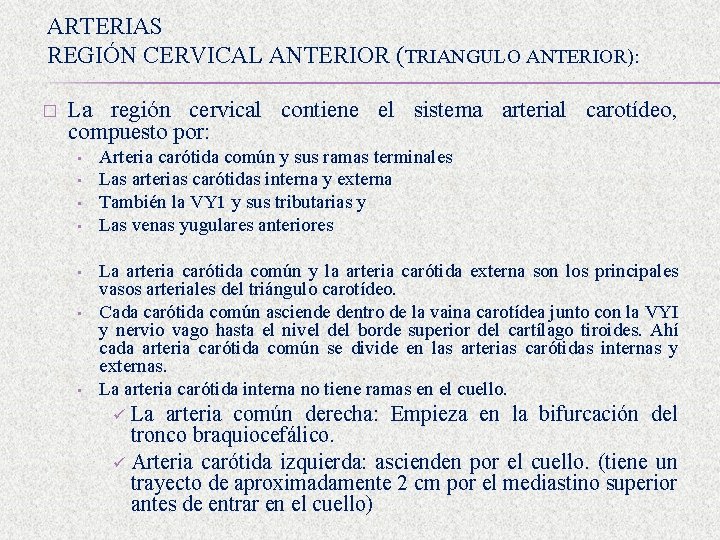 ARTERIAS REGIÓN CERVICAL ANTERIOR (TRIANGULO ANTERIOR): � La región cervical contiene el sistema arterial