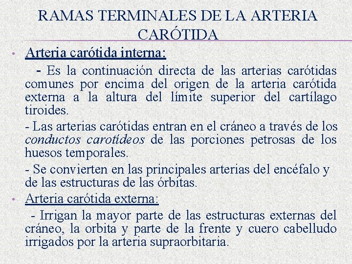 RAMAS TERMINALES DE LA ARTERIA CARÓTIDA • • Arteria carótida interna: - Es la