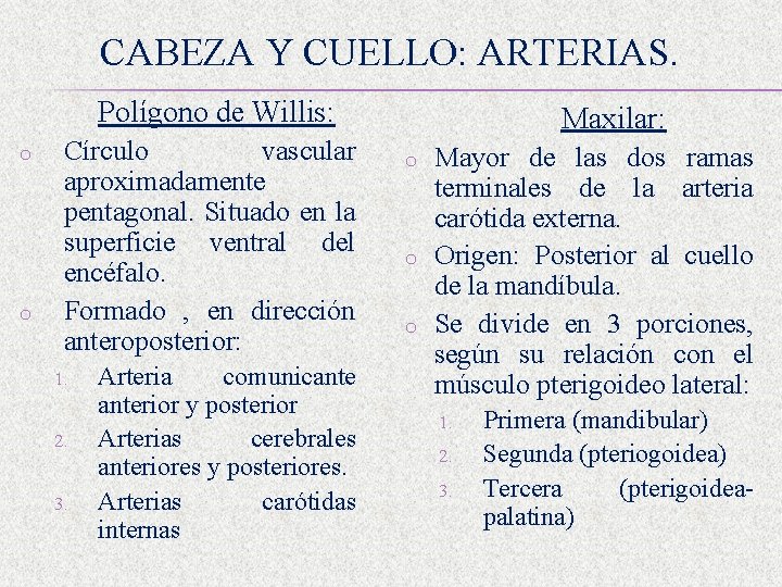 CABEZA Y CUELLO: ARTERIAS. Polígono de Willis: o o Círculo vascular aproximadamente pentagonal. Situado