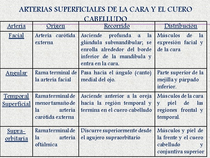 ARTERIAS SUPERFICIALES DE LA CARA Y EL CUERO CABELLUDO Arteria Origen Recorrido Distribución Facial