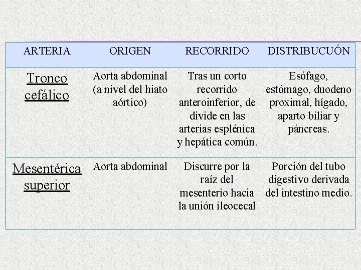 ARTERIA ORIGEN RECORRIDO DISTRIBUCUÓN Tronco cefálico Aorta abdominal (a nivel del hiato aórtico) Tras