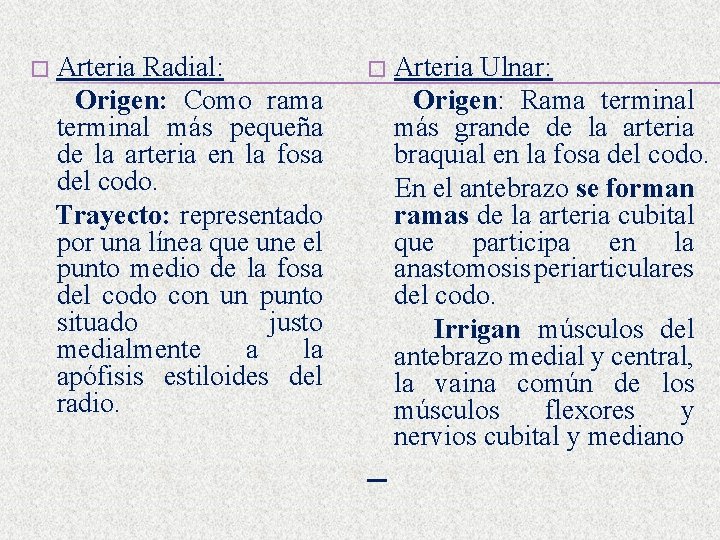 � Arteria Radial: Origen: Como rama terminal más pequeña de la arteria en la