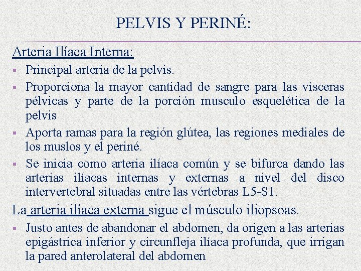 PELVIS Y PERINÉ: Arteria Ilíaca Interna: § § Principal arteria de la pelvis. Proporciona