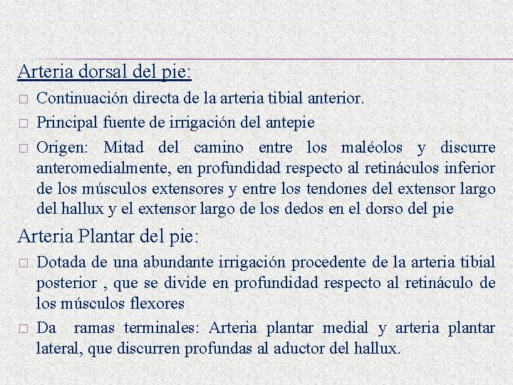 Arteria dorsal del pie: � � � Continuación directa de la arteria tibial anterior.