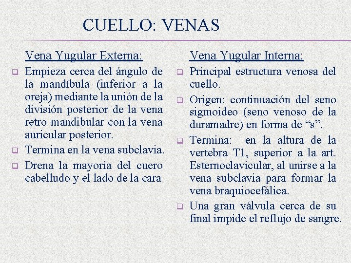 CUELLO: VENAS Vena Yugular Externa: q q q Empieza cerca del ángulo de la