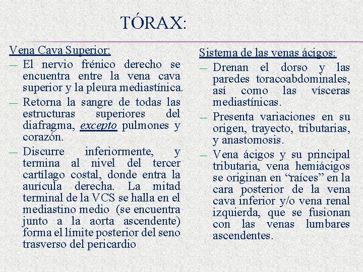 TÓRAX: Vena Cava Superior: — El nervio frénico derecho se encuentra entre la vena