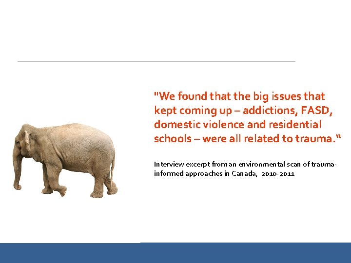 "We found that the big issues that kept coming up – addictions, FASD, domestic