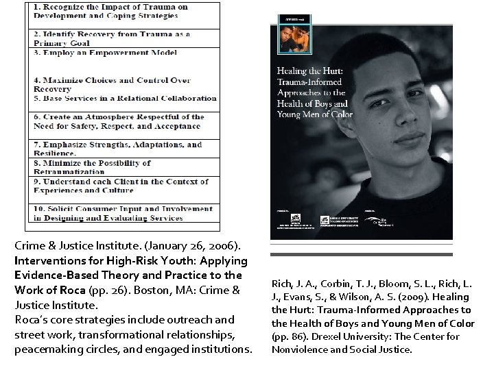 Crime & Justice Institute. (January 26, 2006). Interventions for High-Risk Youth: Applying Evidence-Based Theory
