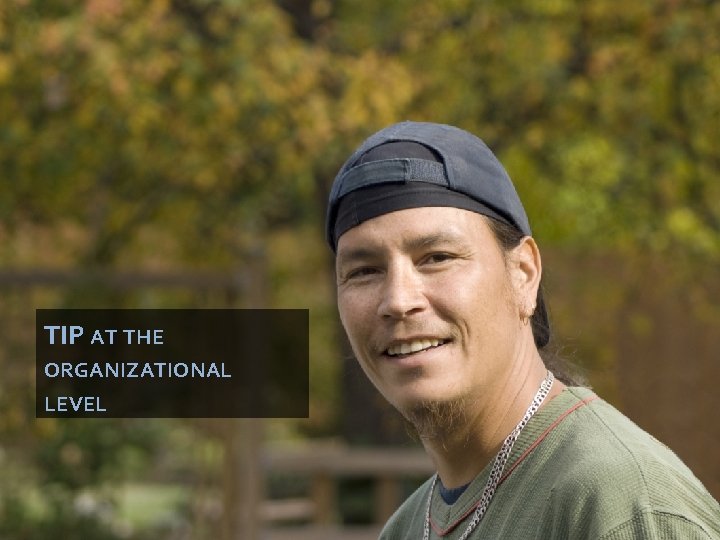 TIP AT THE ORGANIZATIONAL LEVEL 