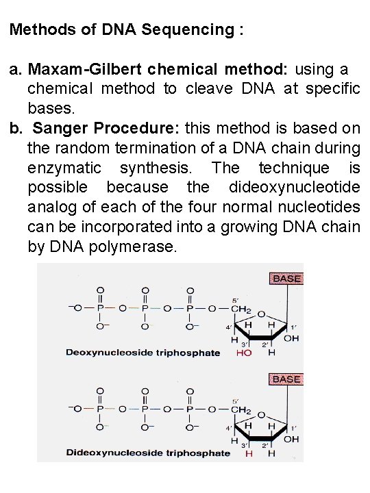 Methods of DNA Sequencing : a. Maxam-Gilbert chemical method: using a chemical method to