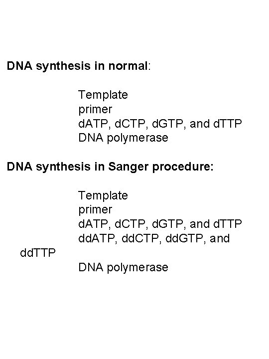 DNA synthesis in normal: Template primer d. ATP, d. CTP, d. GTP, and d.