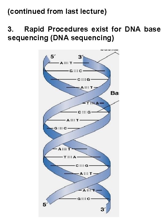 (continued from last lecture) 3. Rapid Procedures exist for DNA base sequencing (DNA sequencing)