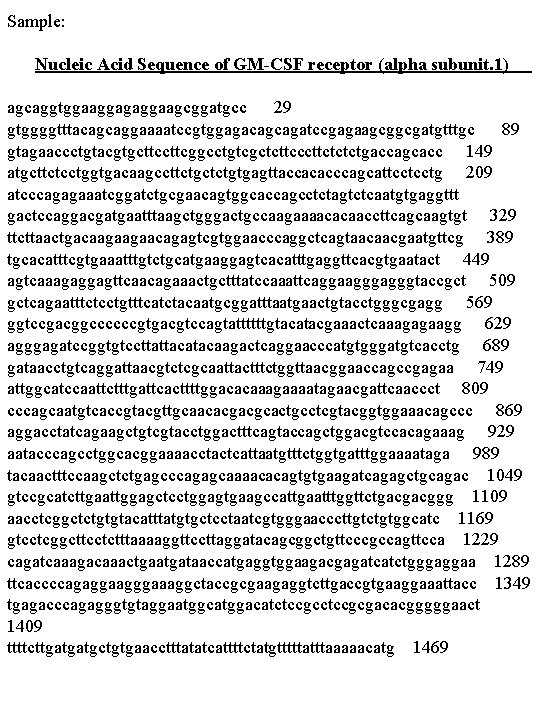 Sample: Nucleic Acid Sequence of GM-CSF receptor (alpha subunit. 1) agcaggtggaaggagaggaagcggatgcc 29 gtggggtttacagcaggaaaatccgtggagacagcagatccgagaagcggcgatgtttgc 89