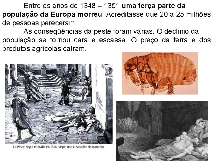 Entre os anos de 1348 – 1351 uma terça parte da população da Europa