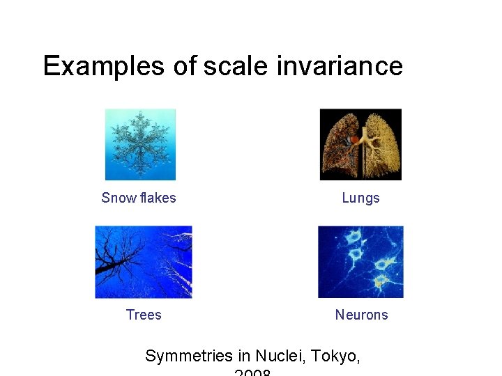 Examples of scale invariance Snow flakes Trees Lungs Neurons Symmetries in Nuclei, Tokyo, 