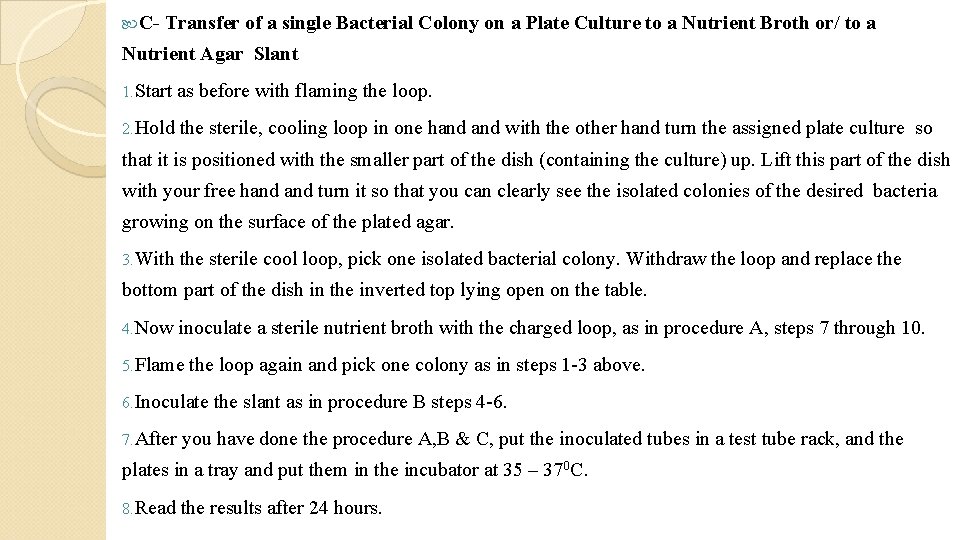  C- Transfer of a single Bacterial Colony on a Plate Culture to a