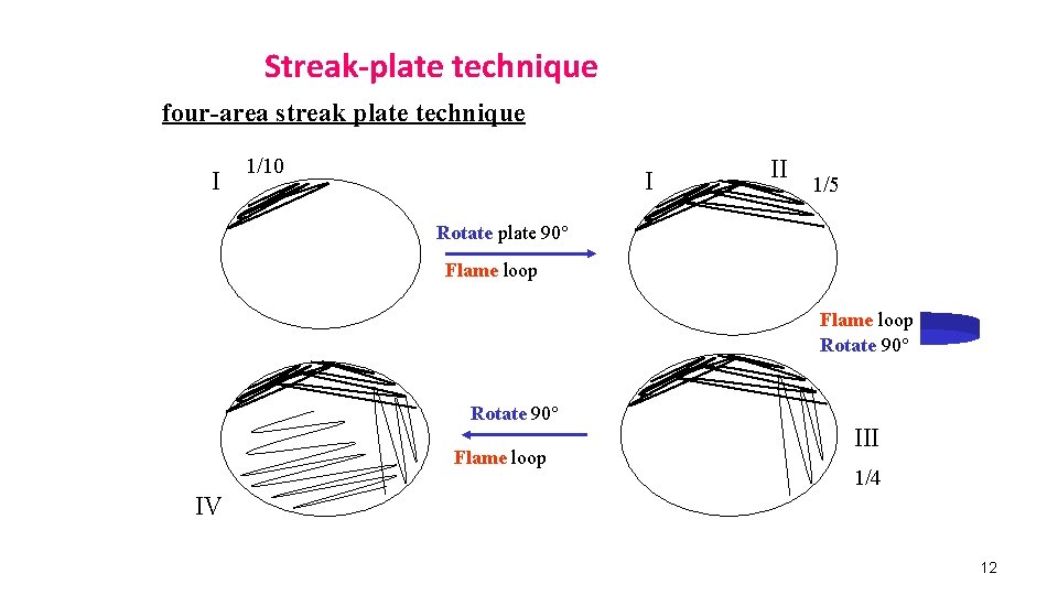 Streak-plate technique four-area streak plate technique I 1/10 I II 1/5 Rotate plate 90