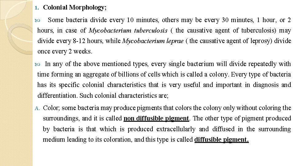 1. Colonial Morphology; Some bacteria divide every 10 minutes, others may be every 30