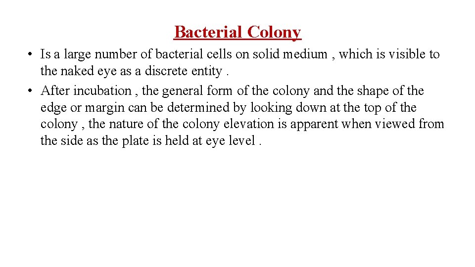 Bacterial Colony • Is a large number of bacterial cells on solid medium ,