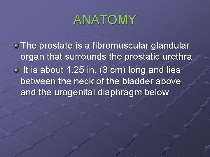 ANATOMY The prostate is a fibromuscular glandular organ that surrounds the prostatic urethra It