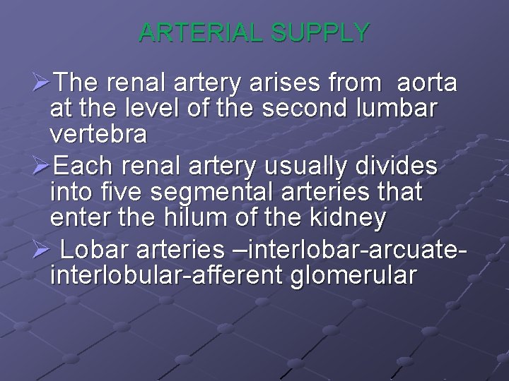 ARTERIAL SUPPLY ØThe renal artery arises from aorta at the level of the second