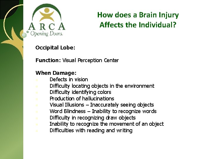 How does a Brain Injury Affects the Individual? Occipital Lobe: Function: Visual Perception Center