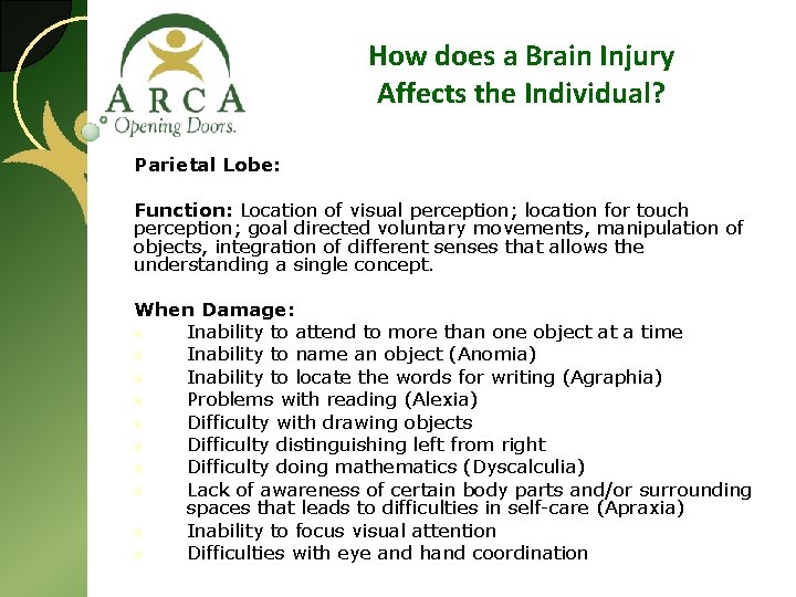 How does a Brain Injury Affects the Individual? Parietal Lobe: Function: Location of visual