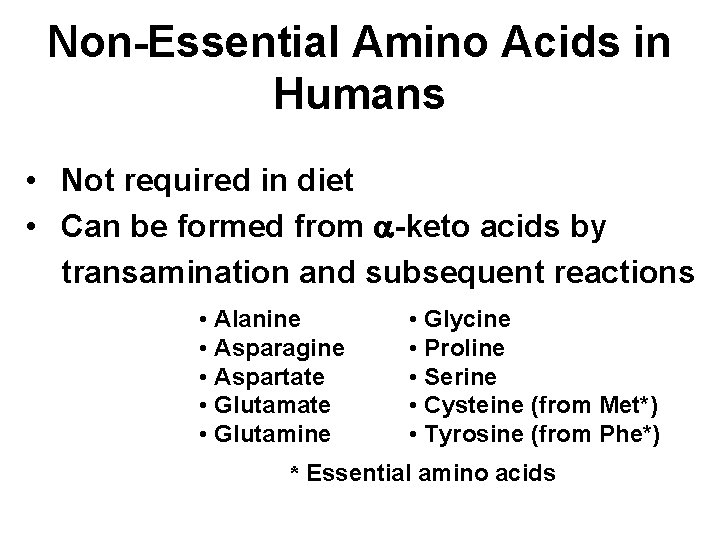 Non-Essential Amino Acids in Humans • Not required in diet • Can be formed